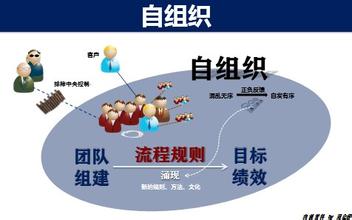 关于自组织团队建立的先决条件的思考