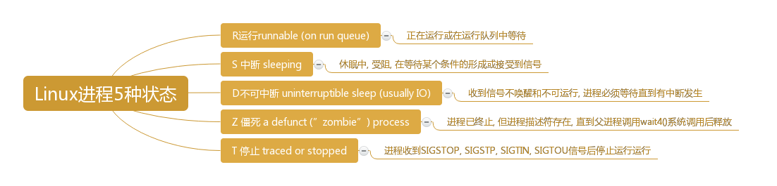 linux ps 命令使用