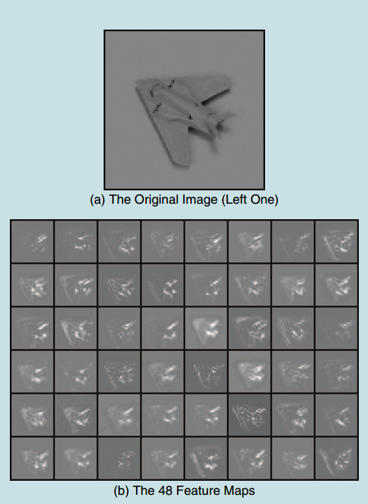 图11 一个例子：（a）原始图像；（b）48个特征图