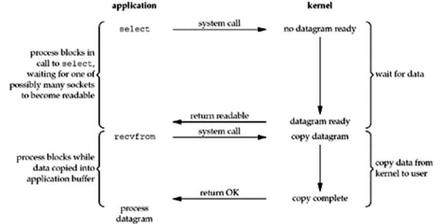 io multiplexing model