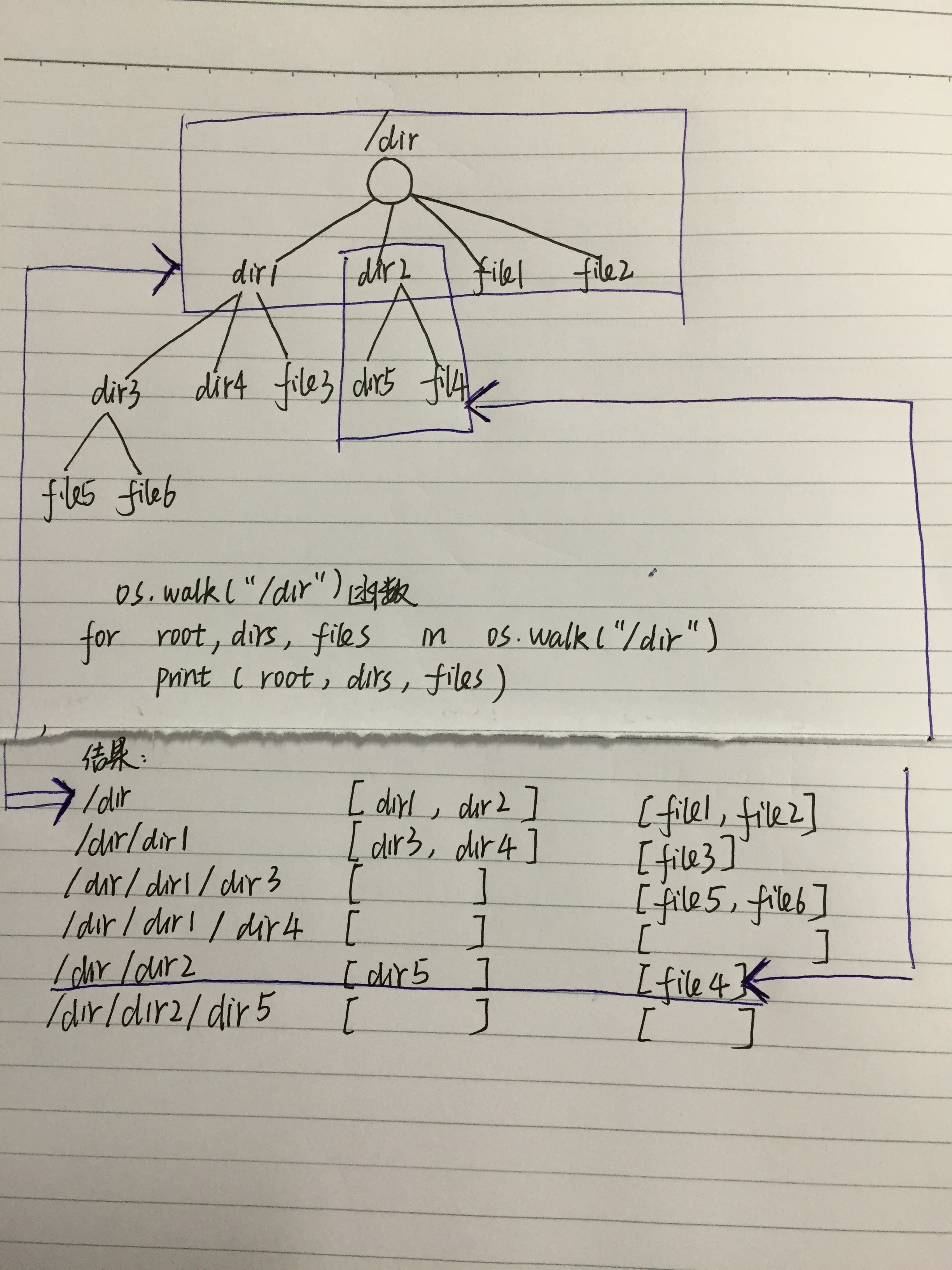 Python的os.walk()方法详细讲解