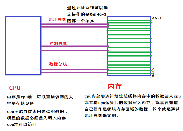 cpu与内存的关系