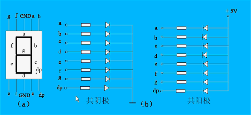 数码管结构图