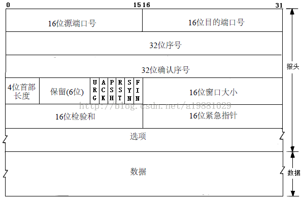 TCP报文首部图