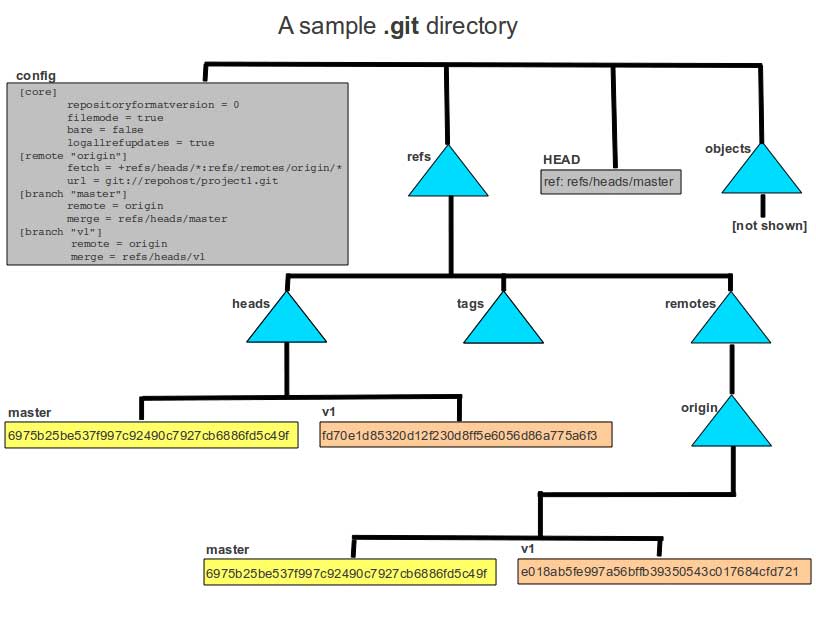 .git文件夹目录结构（摘自英文原文——译者注）