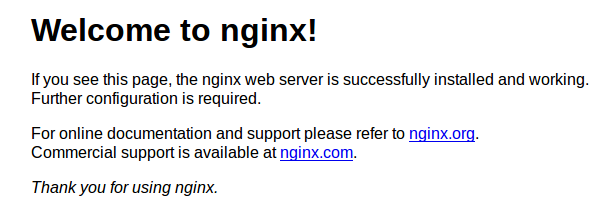 Nginx 成功标志