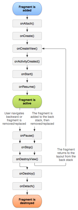 The lifecycle of a fragment (while its activity is running).