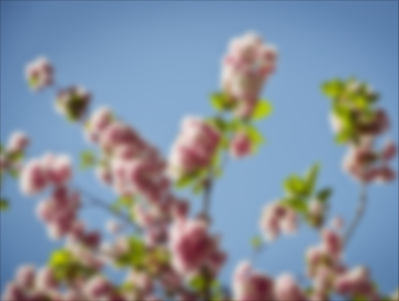 这里写图片描写叙述