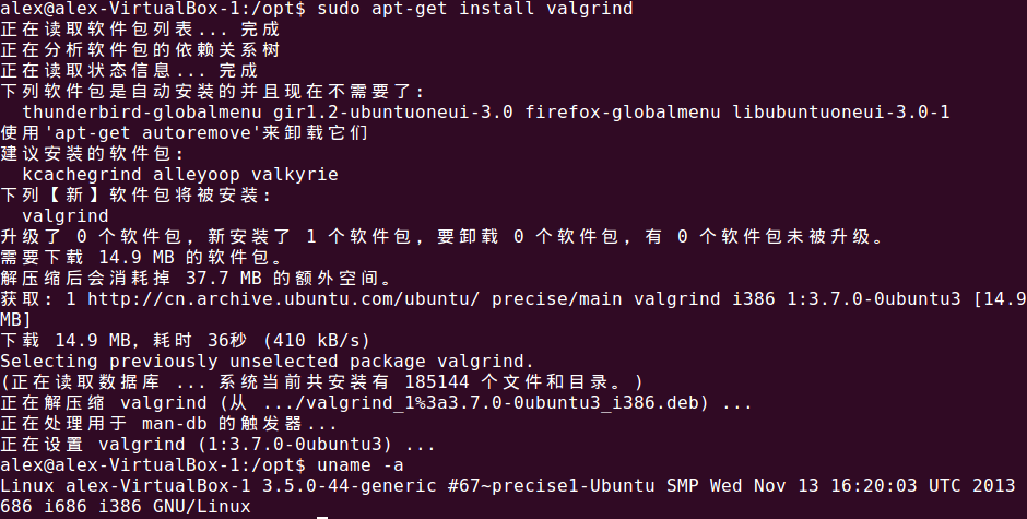 libc6-dbg