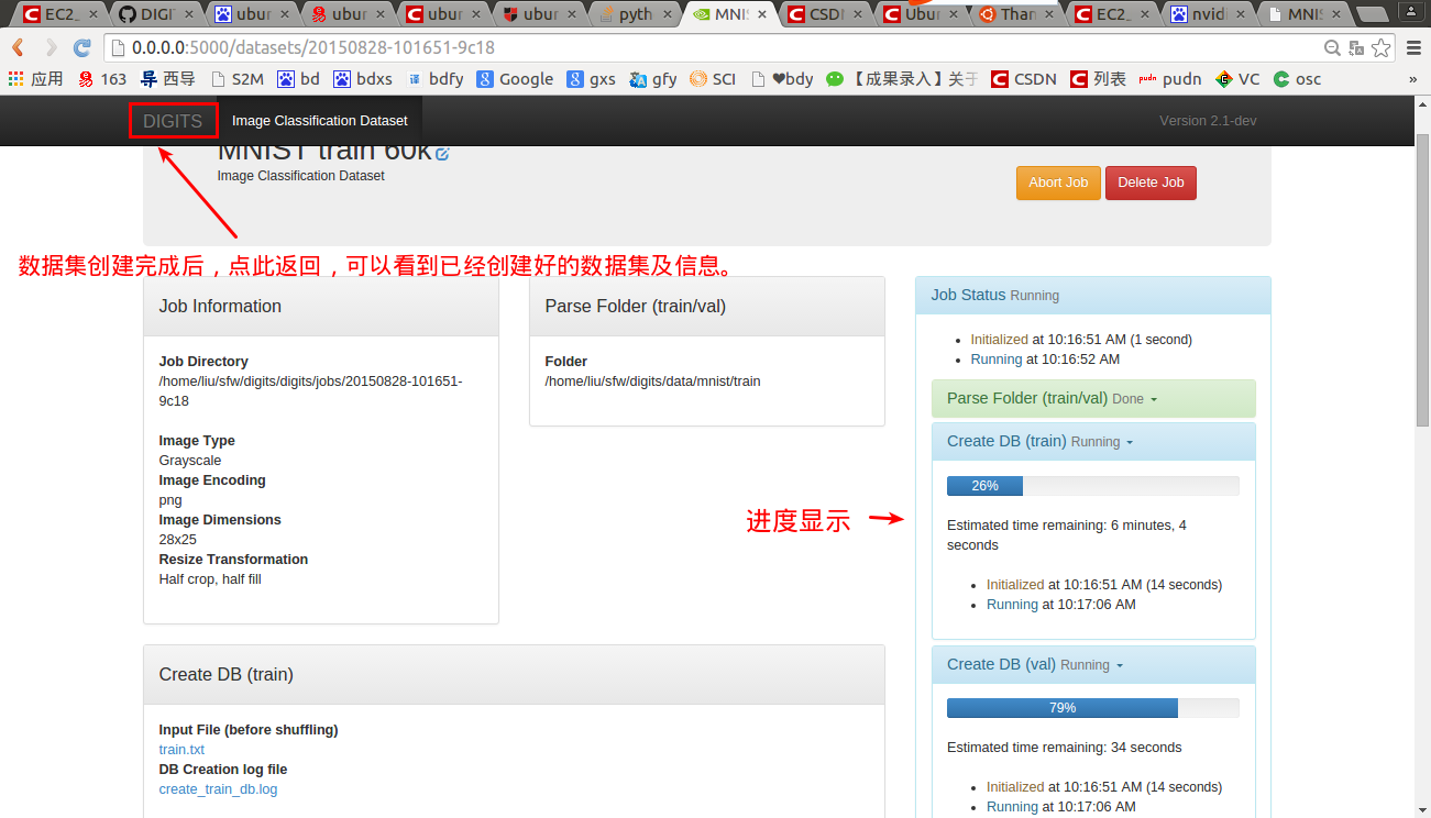 digits server正在创建数据集