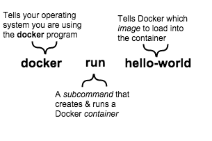 docker run container