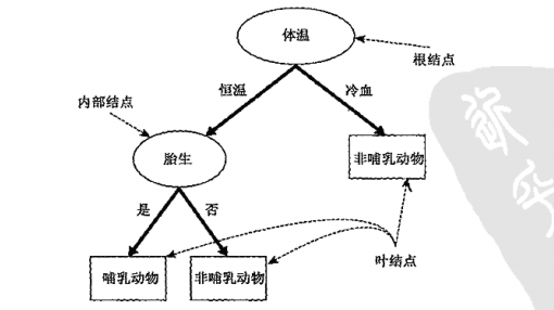 哺乳动物分类决策树