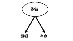 二元属性测试条件