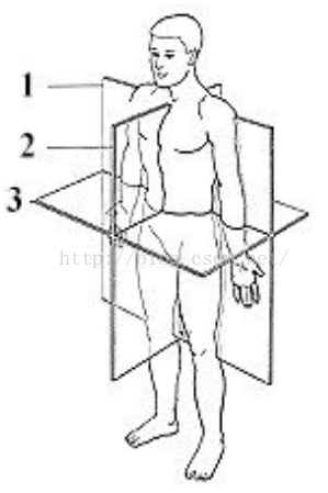 CT扫描层面 冠状位、  矢状位、横断位的基本定义及部分正常人体组织的CT值（Hu）