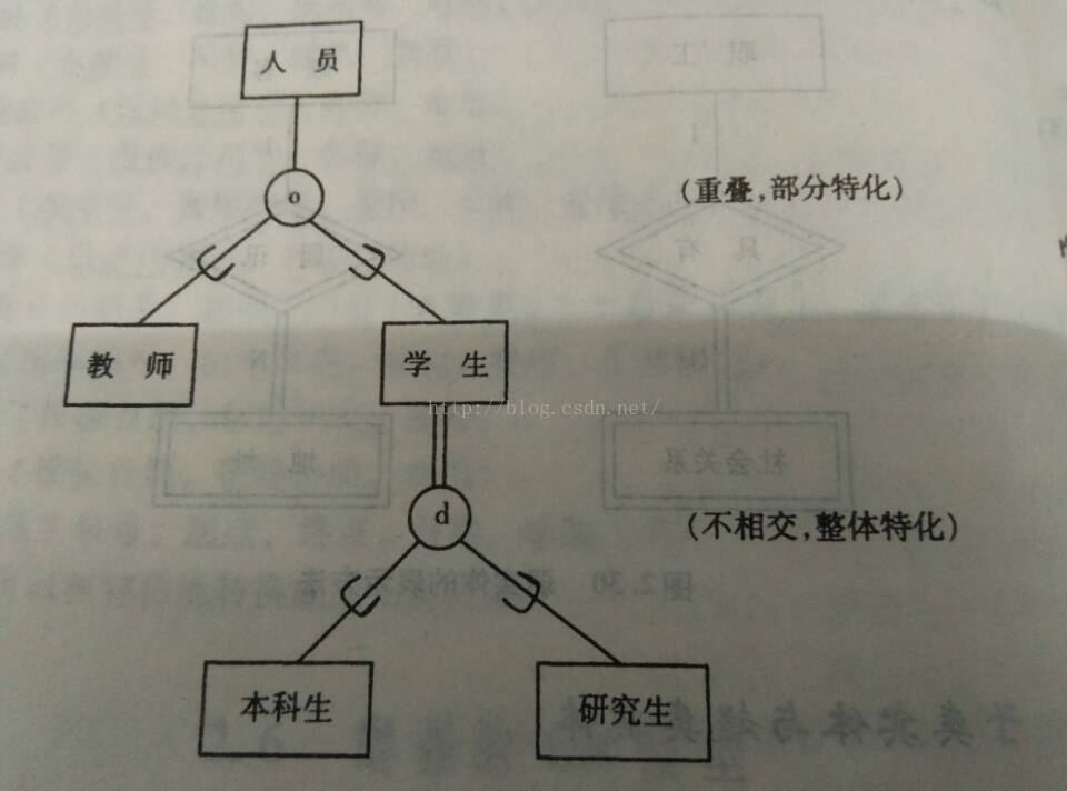 E R图实体特殊化 Mxl809的博客 Csdn博客