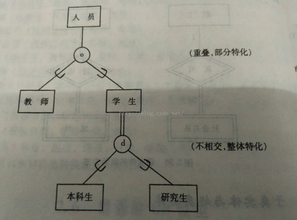 E R图实体特殊化 Mxl809的博客 Csdn博客