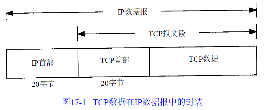 TCP数据在IP数据报中的封装