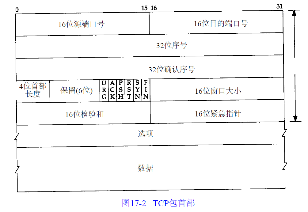 TCP首部格式