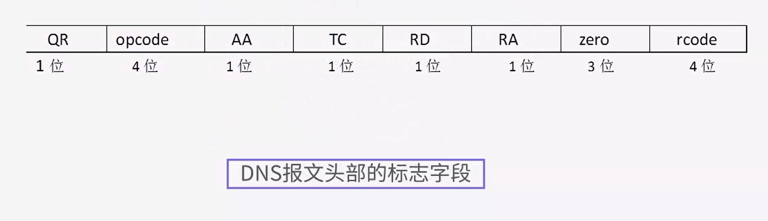 “DNS协议 标志字段 QR opcode 图片”的图片搜索结果