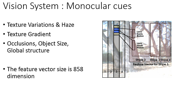 monocularcures