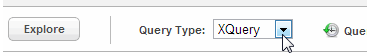 query Type