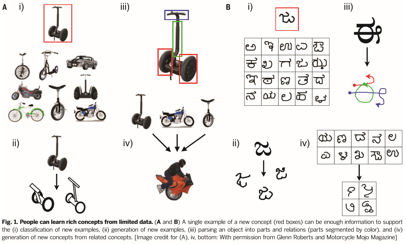 BPL Fig1