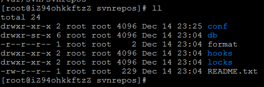 svnadmin 执行后生成的文件