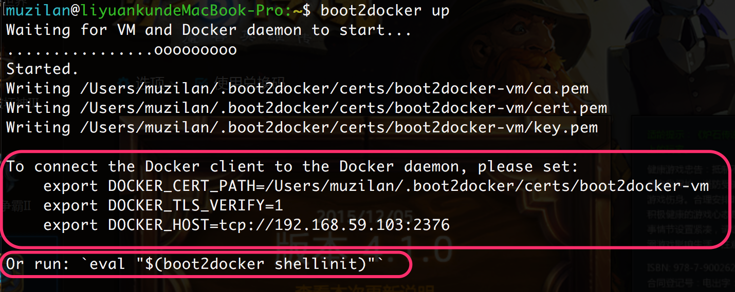 boot2docker up