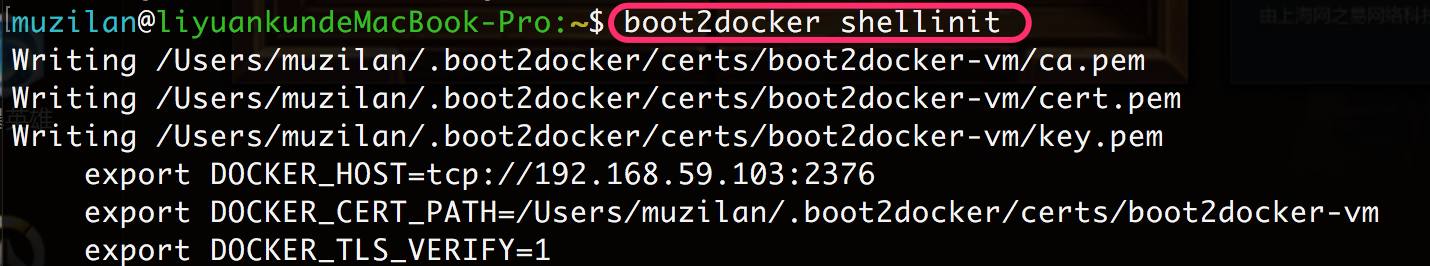 boot2docker shellinit