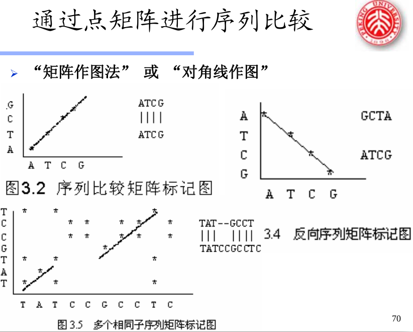 通过点矩阵进行序列比较