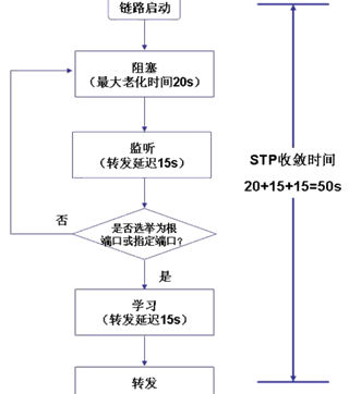 生成树端口状态