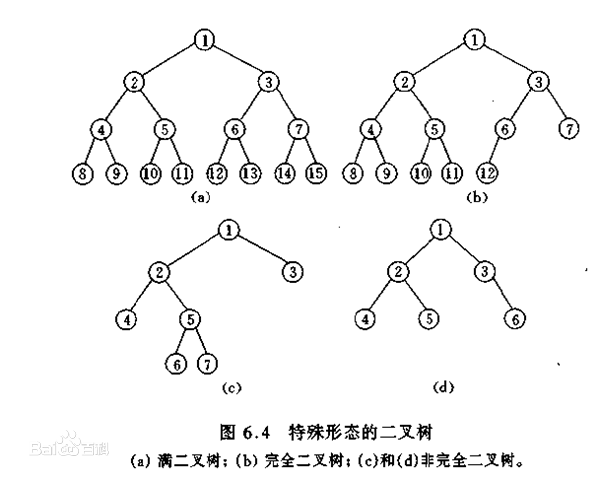 完全二叉树