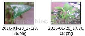Qt浅谈之四十Centos下Qt结合v4l2实现的视频显示
