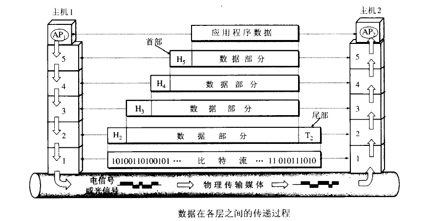 网络层次模型及各层对应协议