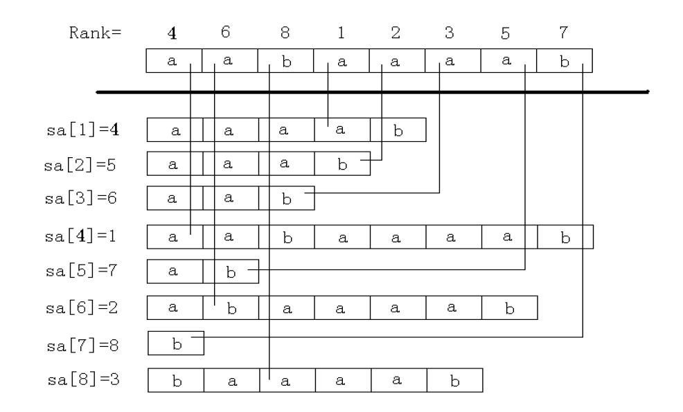 这就是Rank和SA