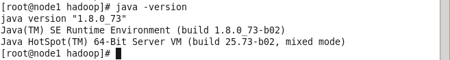 java -version