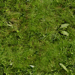 grass.png