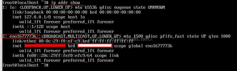 Linux 最小安装 + 桥接模式 + 网络配置
