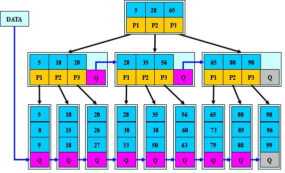 B-树、B+树、B*树详解