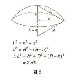 杵臼关节（发）