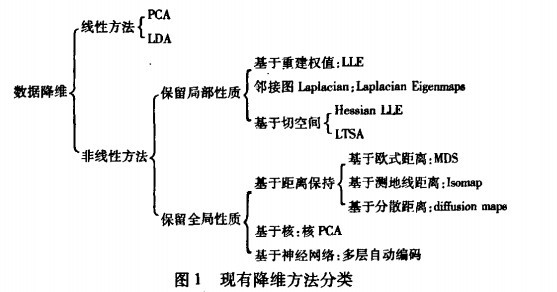 数据降维