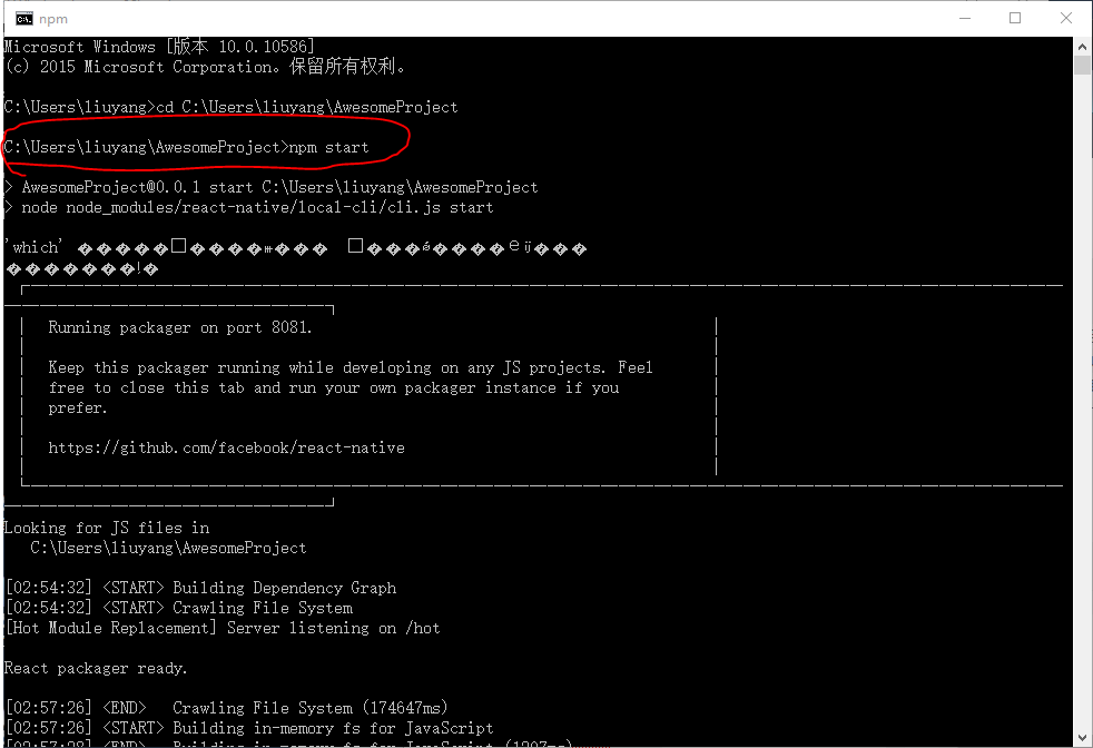 npm start