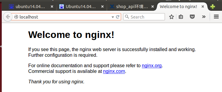 success install nginx