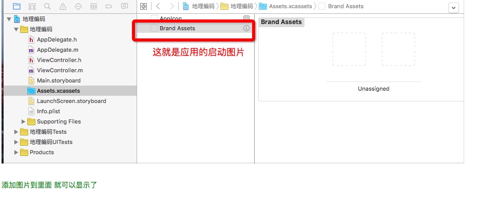 IOS学习之——设置APP的启动应用图片  Brand Assets