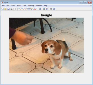 图2 预训练过的ImageNet模型将有一只狗的图像认为是“小猎犬”    