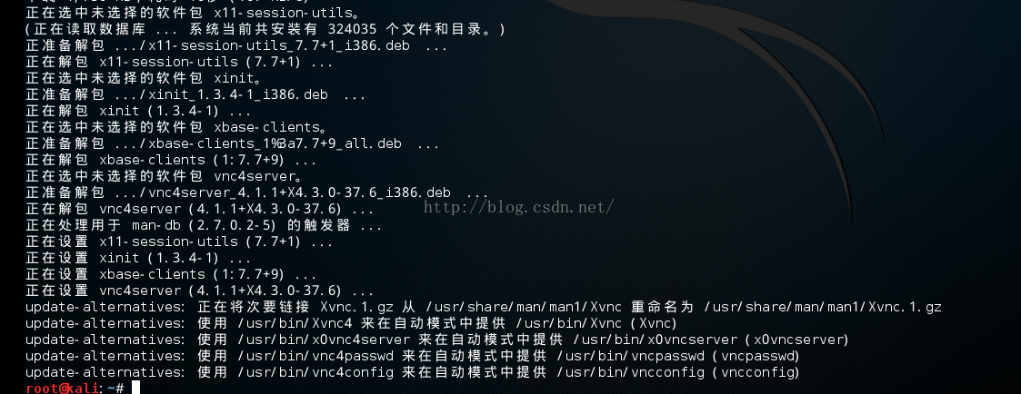 install vnc server kali linux