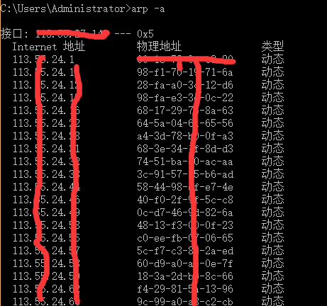 arp表项图片