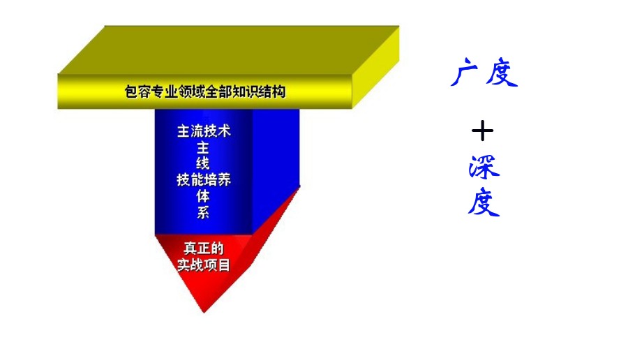 T型人才