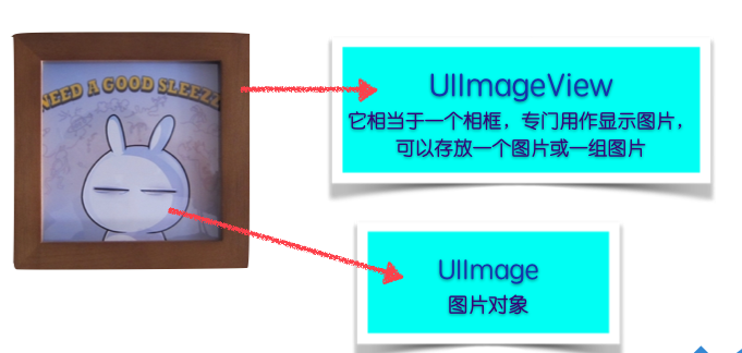 UIImageView和UIImage的关系