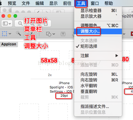 Xcode开发图标icon设置 番薯大佬的专栏 Csdn博客